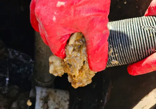 원주하수구막힘 원주싱크대막힘 원주변기막힘 원주변기교체 원주누수탐지 미리미리싹뚜러 시공사례 원주하수구막힘 원주싱크대막힘 원주변기막힘 원주변기교체 원주누수탐지 미리미리싹뚜러 시공사례
